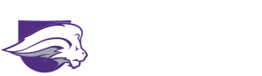 NLSU Logo